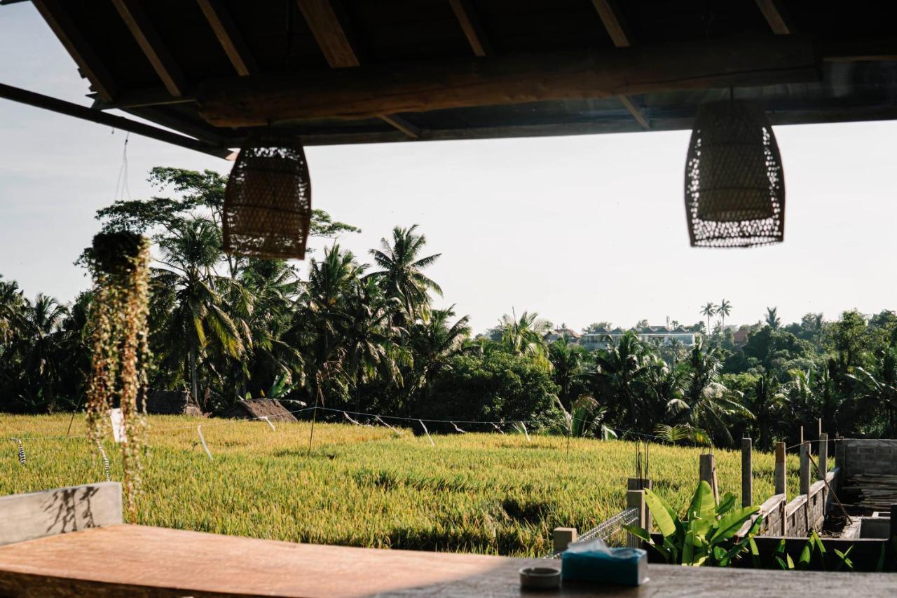 Raditya Villa Ubud المظهر الخارجي الصورة