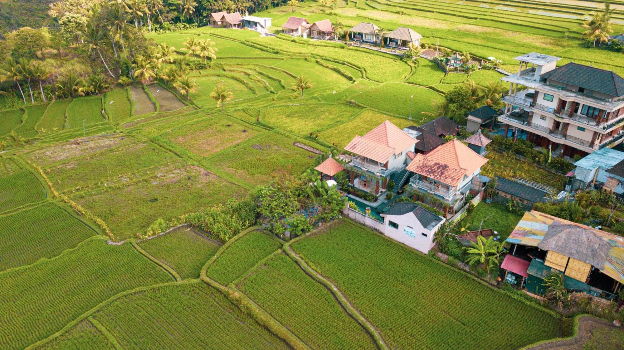 Raditya Villa Ubud المظهر الخارجي الصورة